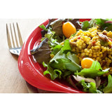 Everyday Plates- 4 pack