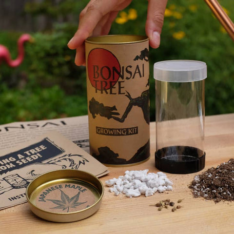 Bonsai Tree Seed Grow Kit