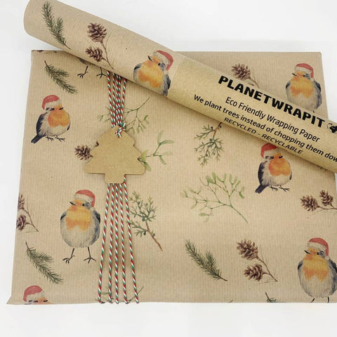 Robin Eco Wrapping Paper