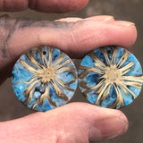 Magnolia Pod/Resin Earrings