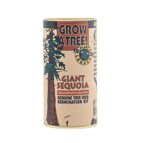 Giant Sequoia Grow Kit